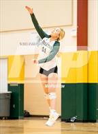 Photo from the gallery "Mitchell @ Falcon"