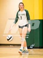 Photo from the gallery "Mitchell @ Falcon"
