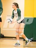 Photo from the gallery "Mitchell @ Falcon"