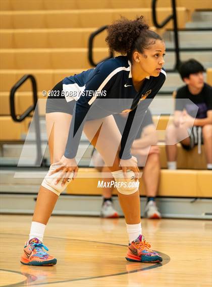 Thumbnail 1 in Mitchell @ Falcon photogallery.