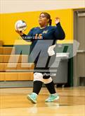 Photo from the gallery "Mitchell @ Falcon"