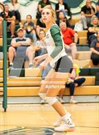 Photo from the gallery "Mitchell @ Falcon"