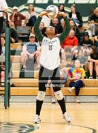 Photo from the gallery "Mitchell @ Falcon"