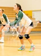 Photo from the gallery "Mitchell @ Falcon"