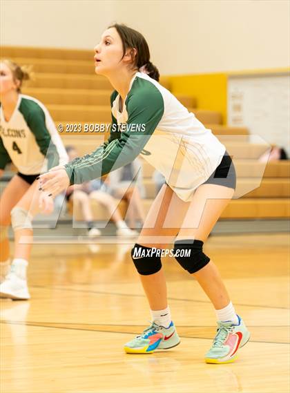 Thumbnail 2 in Mitchell @ Falcon photogallery.