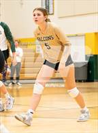 Photo from the gallery "Mitchell @ Falcon"