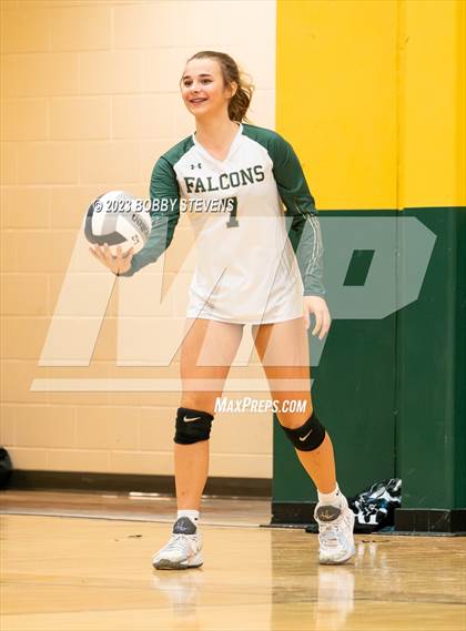 Thumbnail 3 in Mitchell @ Falcon photogallery.