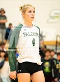 Photo from the gallery "Mitchell @ Falcon"