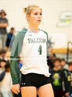 Photo from the gallery "Mitchell @ Falcon"