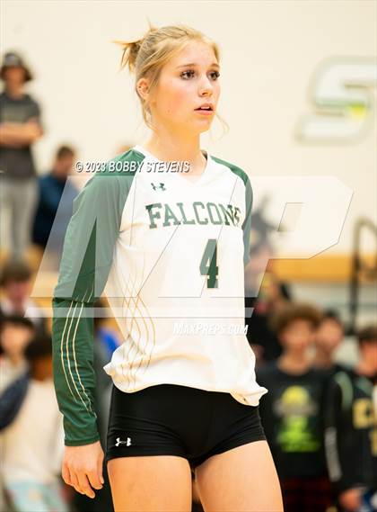 Thumbnail 2 in Mitchell @ Falcon photogallery.