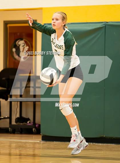 Thumbnail 3 in Mitchell @ Falcon photogallery.