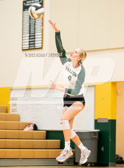 Thumbnail 3 in Mitchell @ Falcon photogallery.