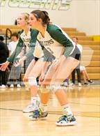 Photo from the gallery "Mitchell @ Falcon"