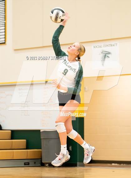 Thumbnail 3 in Mitchell @ Falcon photogallery.