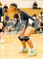 Photo from the gallery "Mitchell @ Falcon"
