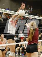 Photo from the gallery "Timpview vs. Northridge (UHSAA 5A Quarterfinal)"