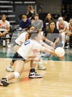 Photo from the gallery "Timpview vs. Northridge (UHSAA 5A Quarterfinal)"