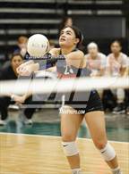 Photo from the gallery "Timpview vs. Northridge (UHSAA 5A Quarterfinal)"