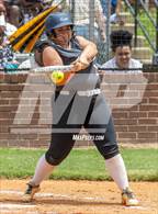 Photo from the gallery "Cross Creek @ Evans"