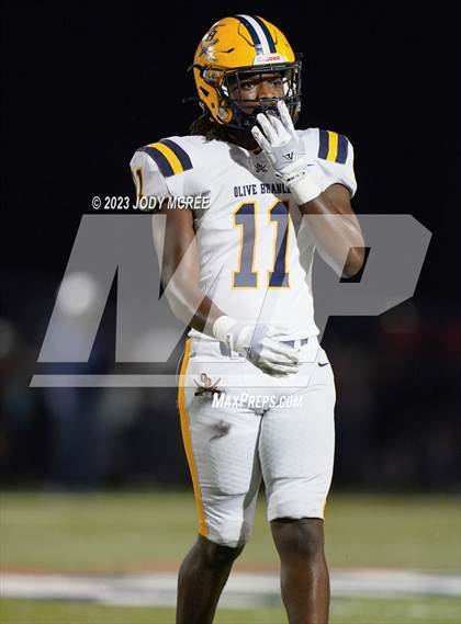 Thumbnail 3 in Olive Branch @ Lewisburg photogallery.