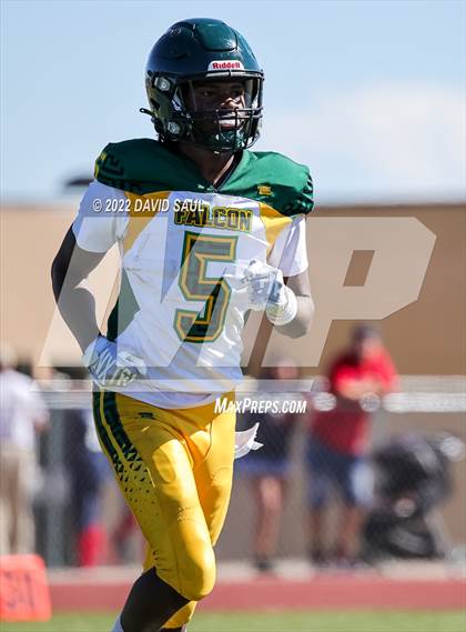 Thumbnail 1 in Falcon @ Vista Ridge photogallery.