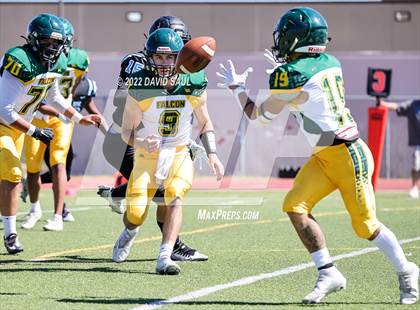 Thumbnail 1 in Falcon @ Vista Ridge photogallery.
