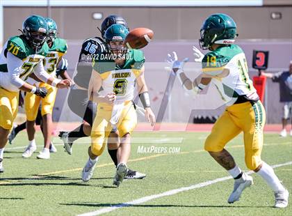 Thumbnail 3 in Falcon @ Vista Ridge photogallery.