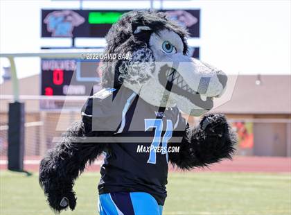 Thumbnail 3 in Falcon @ Vista Ridge photogallery.