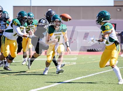 Thumbnail 1 in Falcon @ Vista Ridge photogallery.