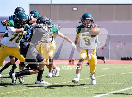 Thumbnail 1 in Falcon @ Vista Ridge photogallery.