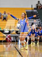 Photo from the gallery "Sunnyvale @ Newman Smith"