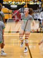 Photo from the gallery "Sunnyvale @ Newman Smith"