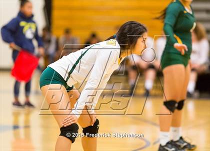 Thumbnail 2 in Placer @ Inderkum photogallery.