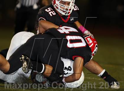 Thumbnail 3 in Gladstone vs. Bassett photogallery.