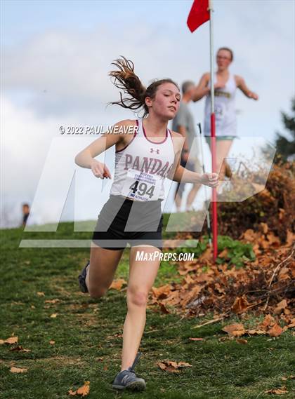 Thumbnail 2 in PIAA Class AA Championship photogallery.