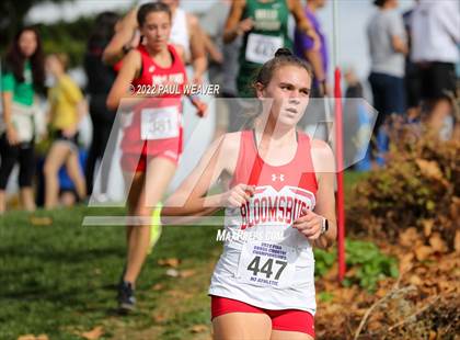 Thumbnail 1 in PIAA Class AA Championship photogallery.