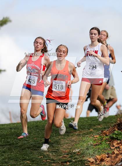 Thumbnail 3 in PIAA Class AA Championship photogallery.