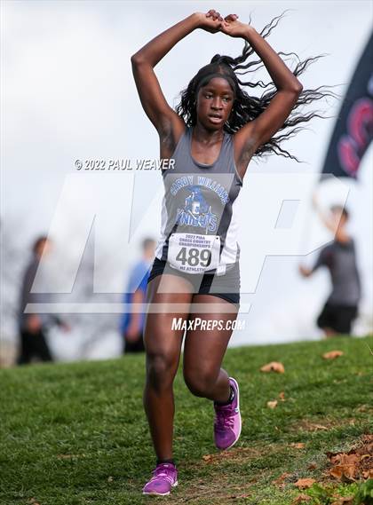 Thumbnail 2 in PIAA Class AA Championship photogallery.