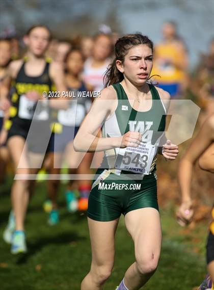 Thumbnail 2 in PIAA Class AA Championship photogallery.