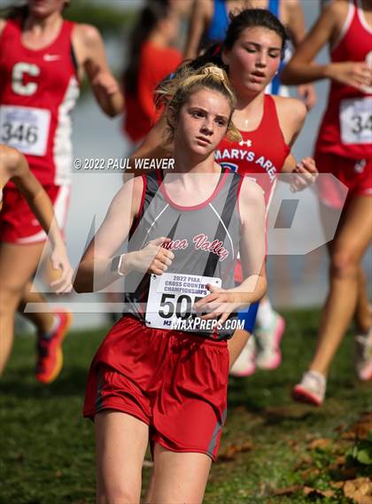 Thumbnail 2 in PIAA Class AA Championship photogallery.