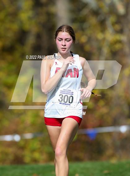 Thumbnail 3 in PIAA Class AA Championship photogallery.