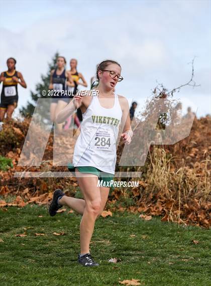 Thumbnail 1 in PIAA Class AA Championship photogallery.