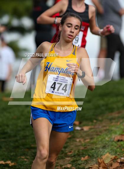 Thumbnail 2 in PIAA Class AA Championship photogallery.