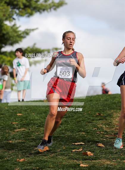 Thumbnail 2 in PIAA Class AA Championship photogallery.