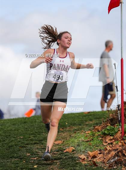 Thumbnail 3 in PIAA Class AA Championship photogallery.