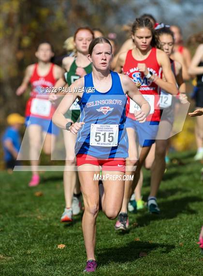 Thumbnail 3 in PIAA Class AA Championship photogallery.