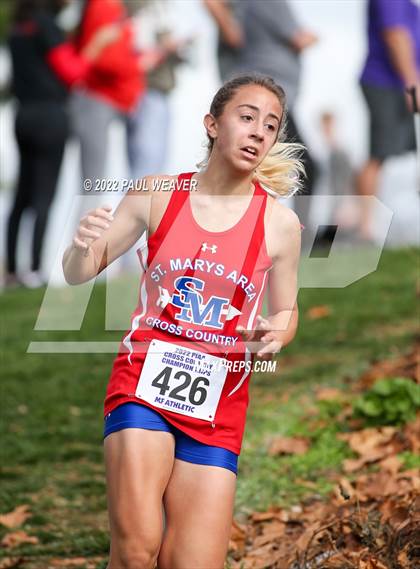 Thumbnail 1 in PIAA Class AA Championship photogallery.