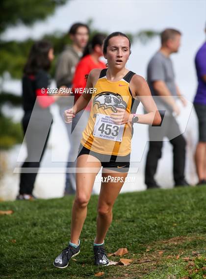 Thumbnail 2 in PIAA Class AA Championship photogallery.