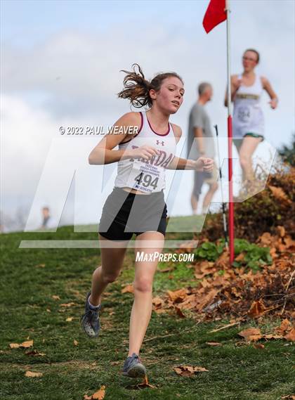 Thumbnail 1 in PIAA Class AA Championship photogallery.