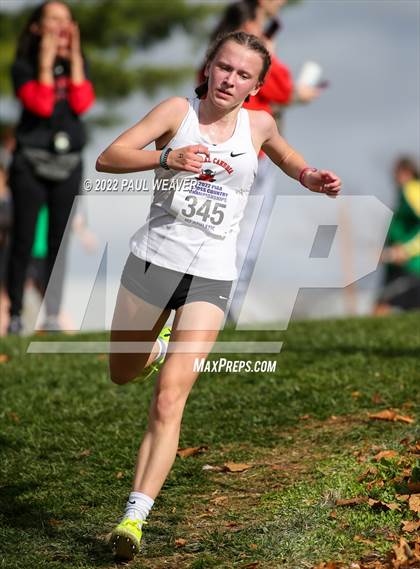 Thumbnail 2 in PIAA Class AA Championship photogallery.